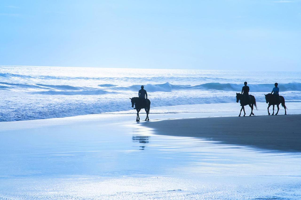 Stunning Oceanview Coastal Home Beach Trails Family Activities Montara Dış mekan fotoğraf